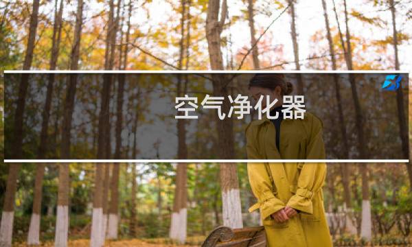 空气净化器 厂家 -